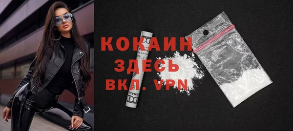 шишки Верея