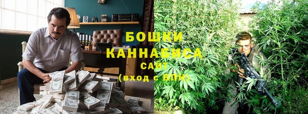 шишки Верея