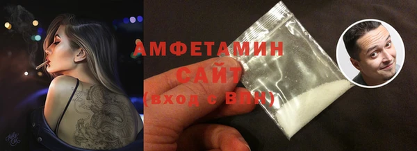 шишки Верея