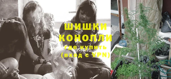 трава Бронницы