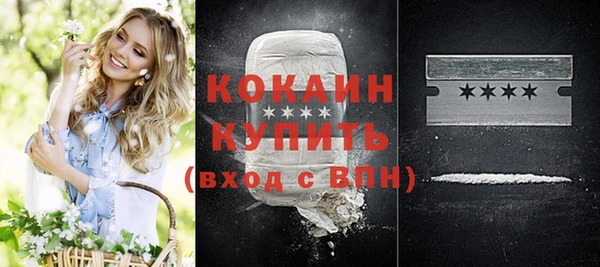 шишки Верея