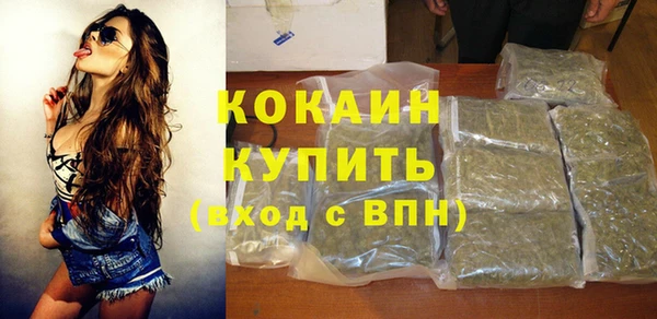 шишки Верея
