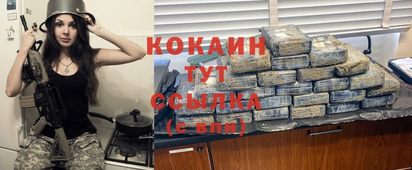 шишки Верея