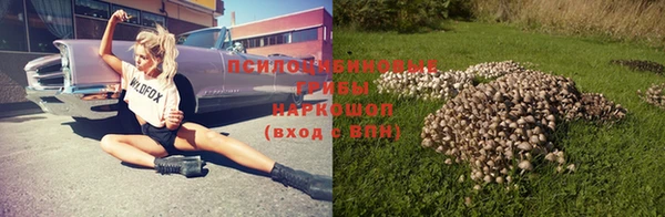 шишки Верея