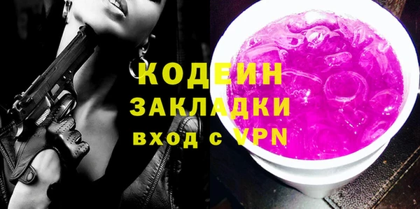 шишки Верея