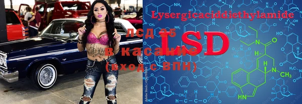 2c-b Бородино