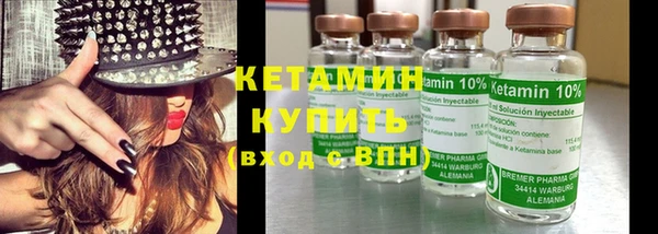шишки Верея