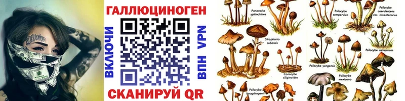 Псилоцибиновые грибы Cubensis  Купить где  Дубна 